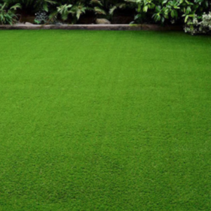 Synthetic Turf